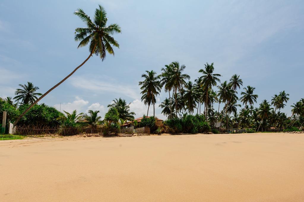 Blue Parrot Beach Villa Ambalangoda  Exterior photo
